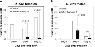 Gene silencing of cathepsins B and L using CTV-based, plant-mediated RNAi interferes with ovarial development in Asian citrus psyllid (ACP), Diaphorina citri